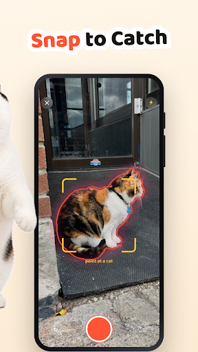 Cat Collector: Catch Real Cats PC