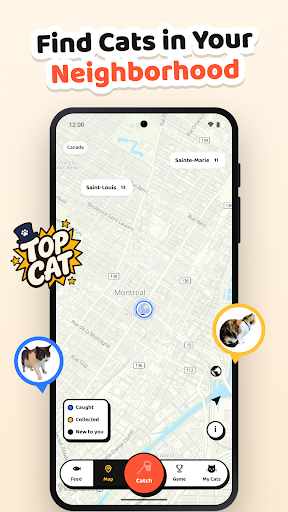 Cat Collector: Catch Real Cats PC
