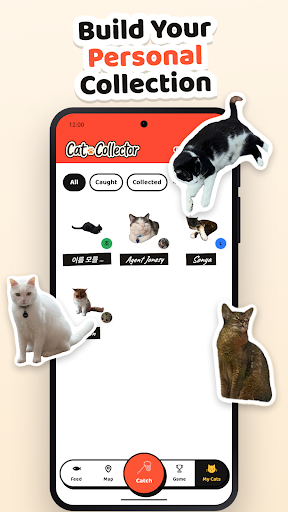 Cat Collector: Catch Real Cats PC