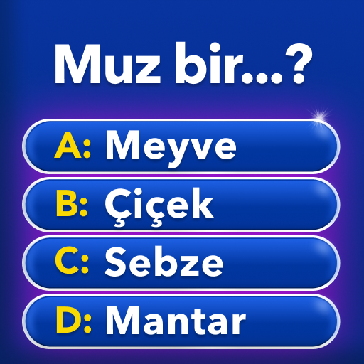 Milyoner - Türkçe Test Oyunu PC