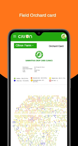Citron