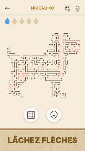 Arrows GO! - Puzzle Flèches PC