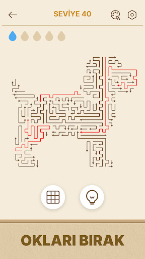 Arrows GO! - Ok Bulmacası PC