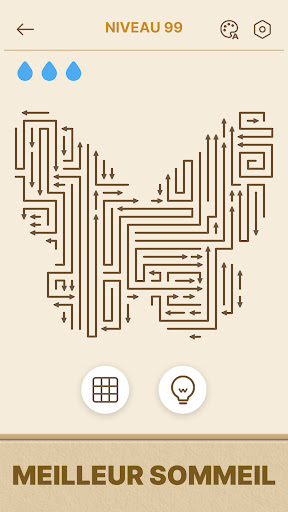 Arrows GO! - Puzzle Flèches PC