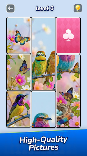 Jigsawcard Solitaire Puzzle