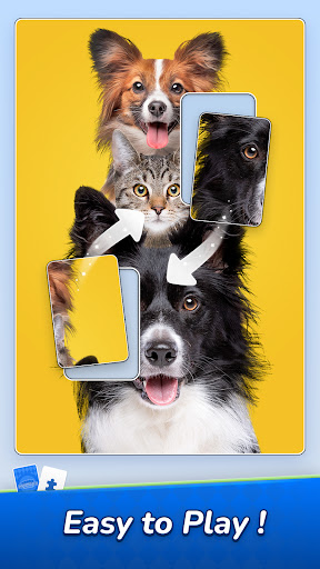 Jigsawcard Solitaire Puzzle PC