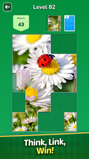 SolitairePics电脑版