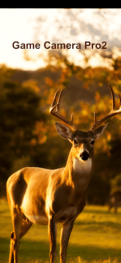 Game Camera Pro2 PC