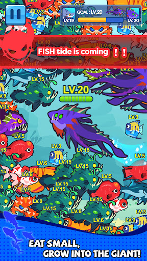 Ocean Club-Fish Fight