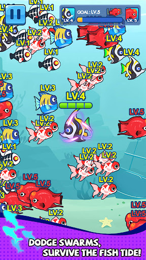 Ocean Club-Fish Fight PC