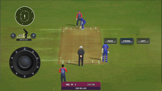 Real World Cricket Cup Games PC