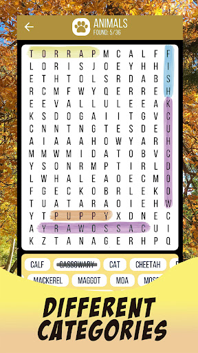 Word Search English Puzzle পিসি