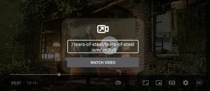URL Video Player PC