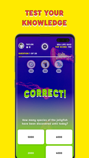 Trivia Quiz PC