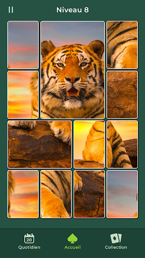 Solitaire Puzzle : Casse-tête PC