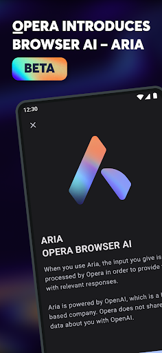 Opera 浏览器 beta 版