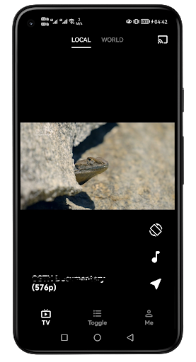 IPTV Channel Player. M3U Live PC