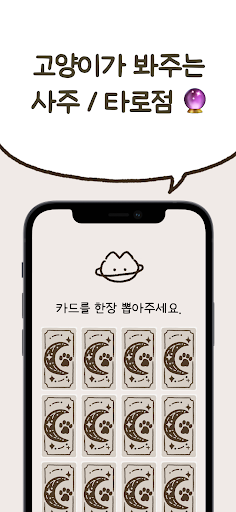 komputer 우주고양이 보라 - 사주, 운세, 사주풀이, 타로