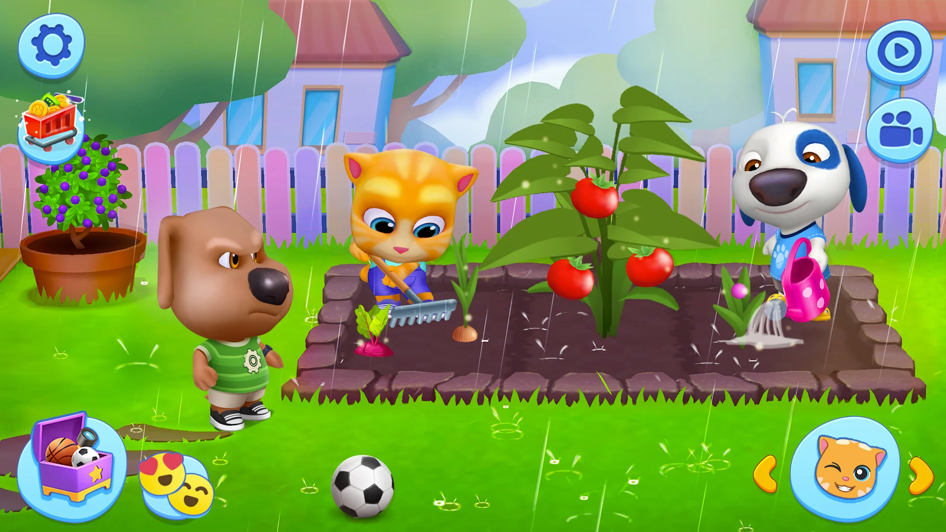 My Talking Tom Friends PC