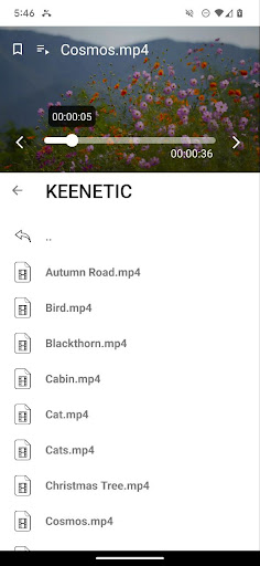 Video player - Sweet Juice PC