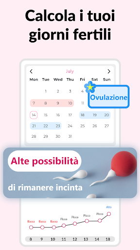 Il mio Calendario Mestruale PC