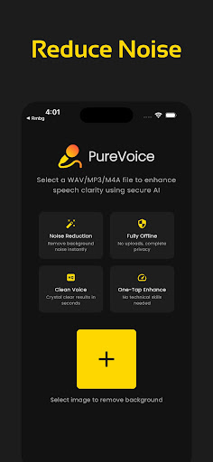 Noise Reducer, PureVoice PC