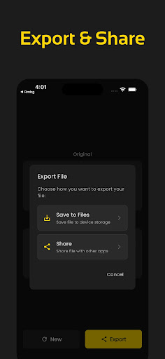 Noise Reducer, PureVoice PC
