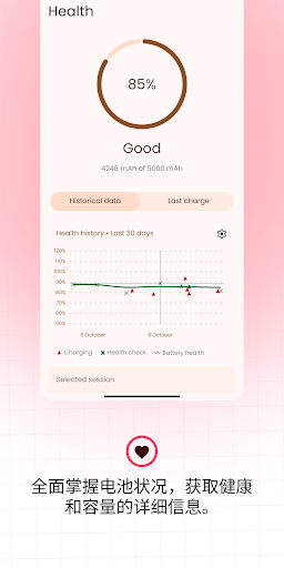 Battery Guru: 电池健康管理电脑版