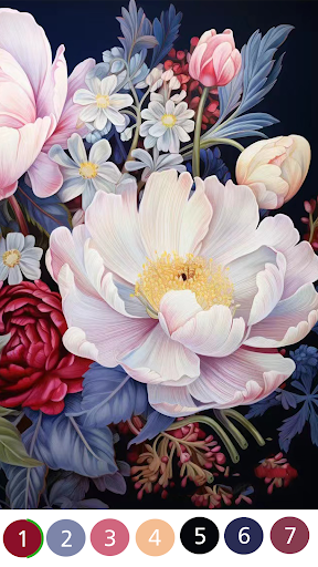 Daily Color - Color By Number PC