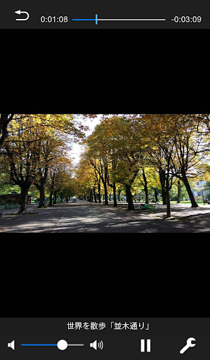 CATV Remote Player PC版