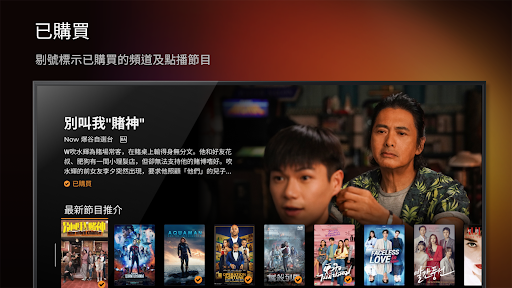 Now TV電腦版
