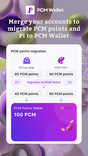 PCM Wallet PC版