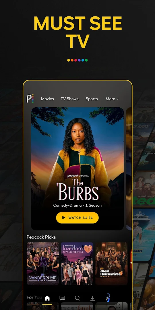 Peacock TV PC