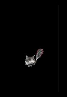 Cat Tennis PC