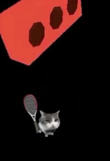 Cat Tennis PC