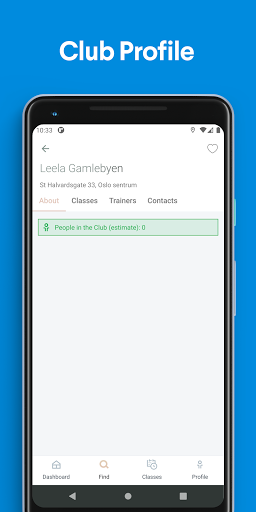 Leela Gamlebyen PC版