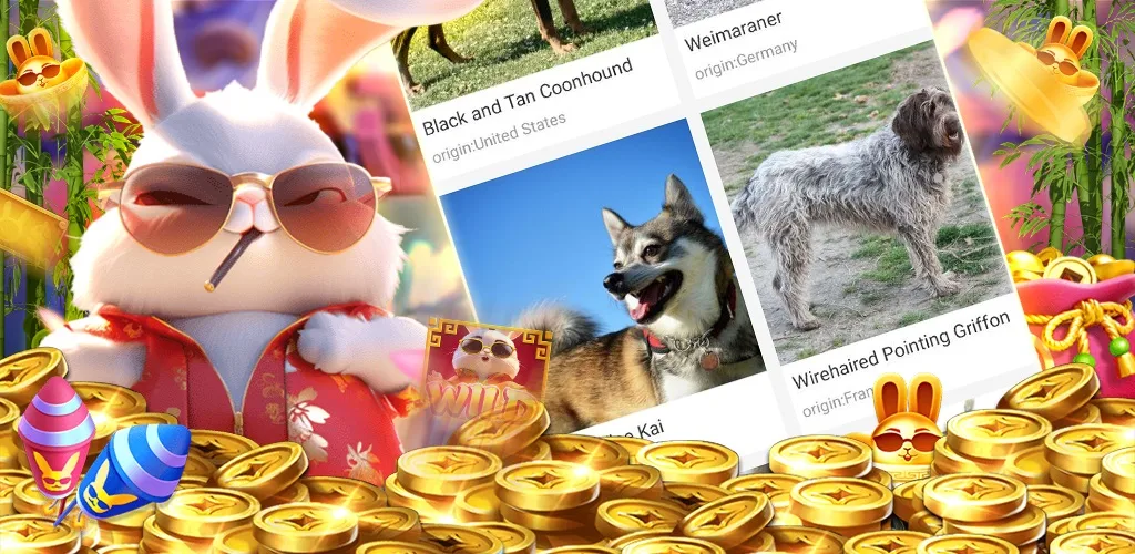 Crazy777 Rabbit PG Dogs-World PC