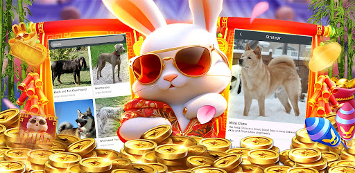 Crazy777 Rabbit PG Dogs-World para PC