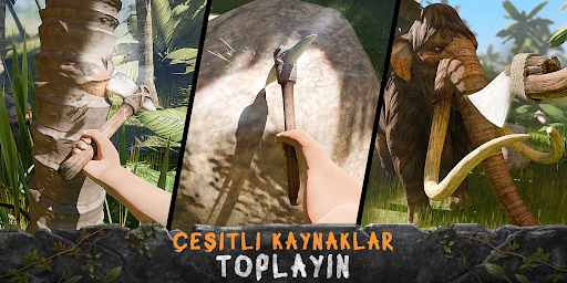 Survival Island: Evolve Pro PC