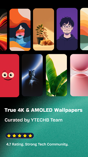 Обои 4K – PhoneWalls HD ПК