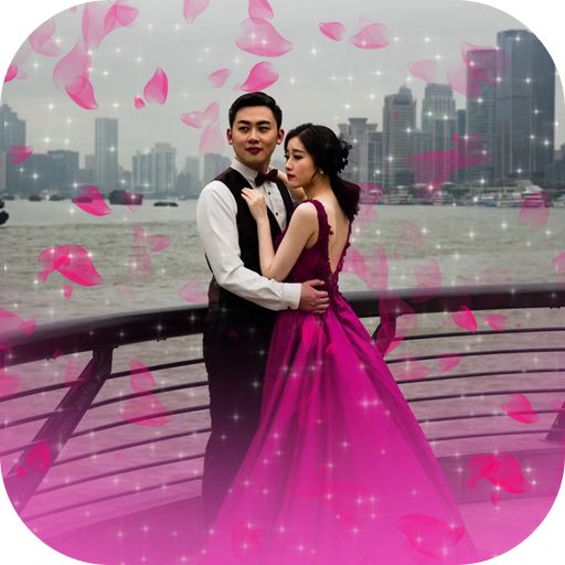 Wedding Photo Video Effect PC