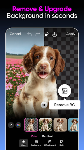 Picsart AI Photo Editor, Video پی سی