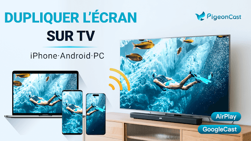 Miroir d'écran - PigeonCast PC