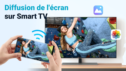 Miroir d'écran - PigeonCast PC