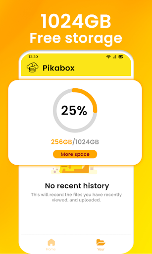 Pikabox: Cloud Space & Live TV PC