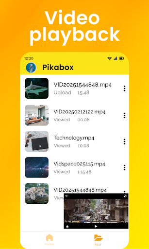 Pikabox: Cloud Space & Live TV PC