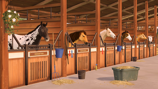 Rival Stars Paardenrennen
