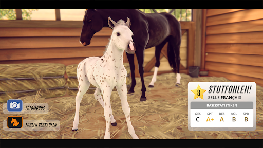 Rival Stars Horse Racing PC