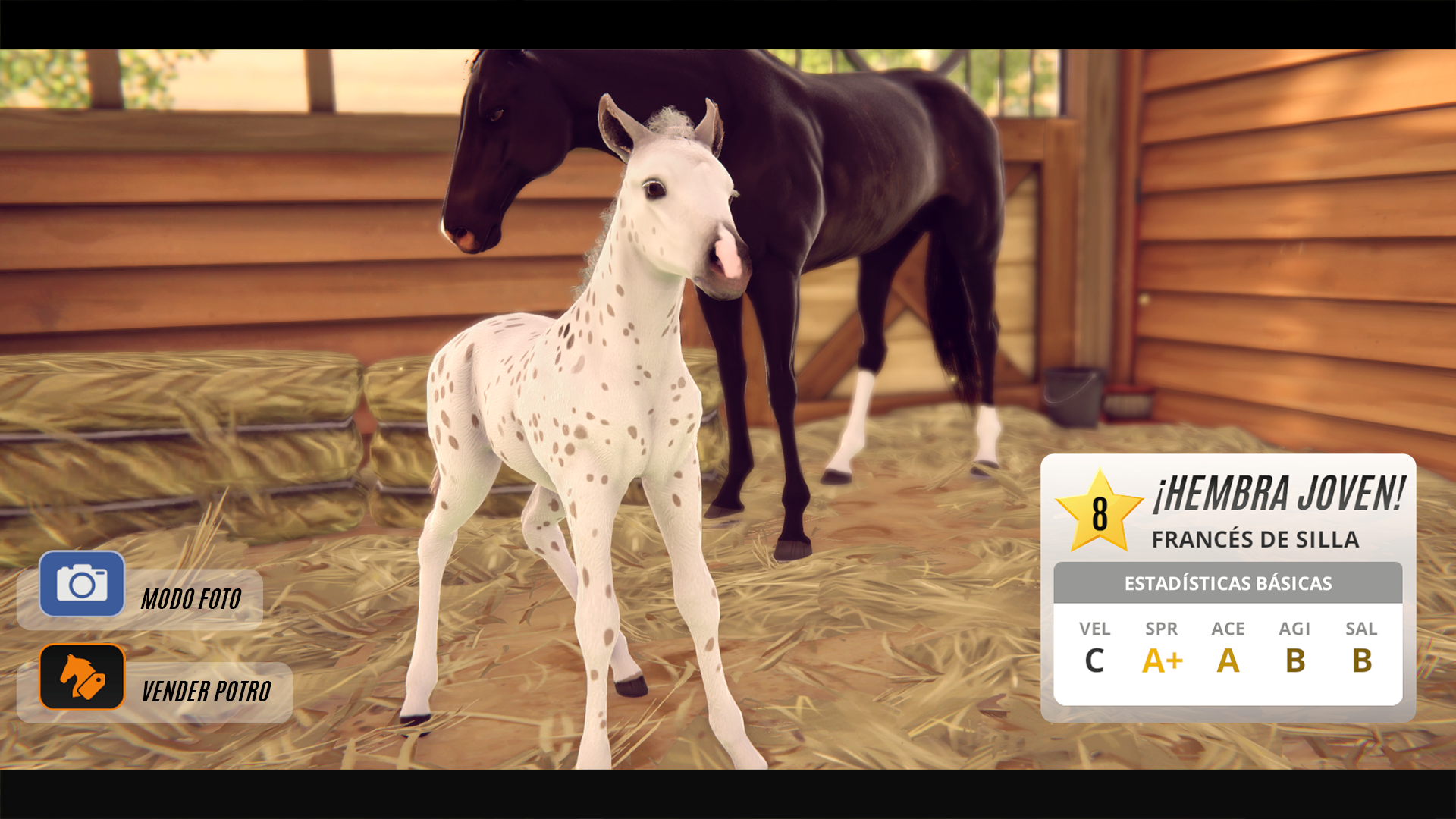 Rival Stars Horse Racing PC