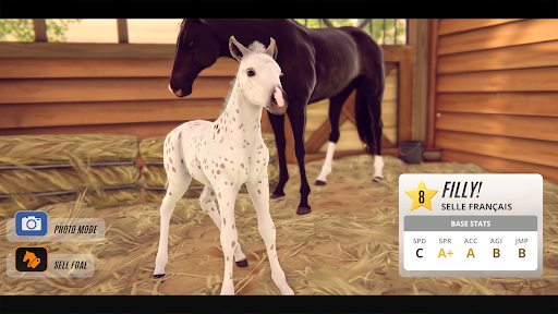 Rival Stars Paardenrennen